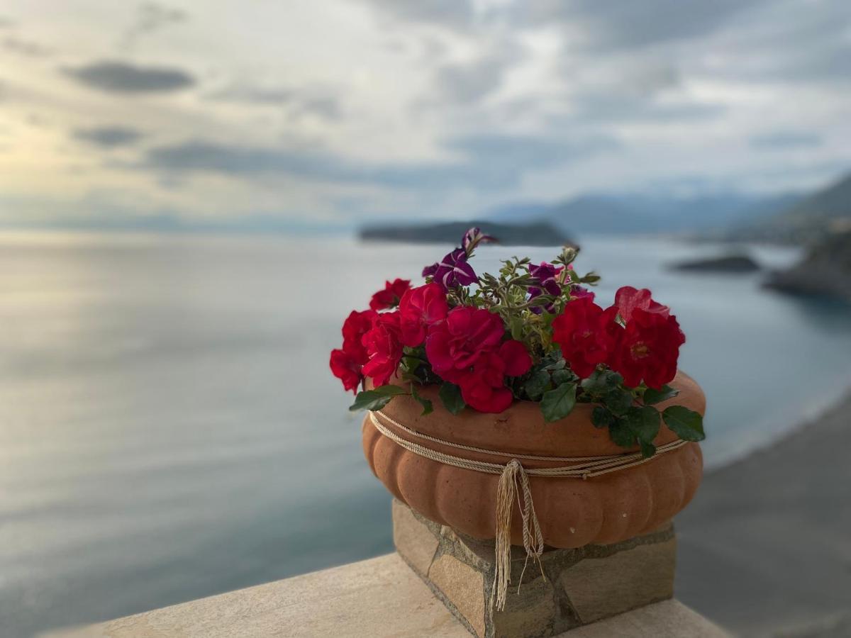 B&B Villa La Petra San Nicola Arcella Eksteriør bilde